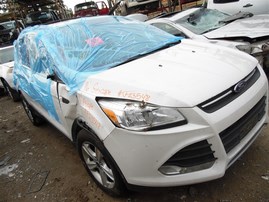 2016 Ford Escape SE White 1.6L Turbo AT 2WD #F23548